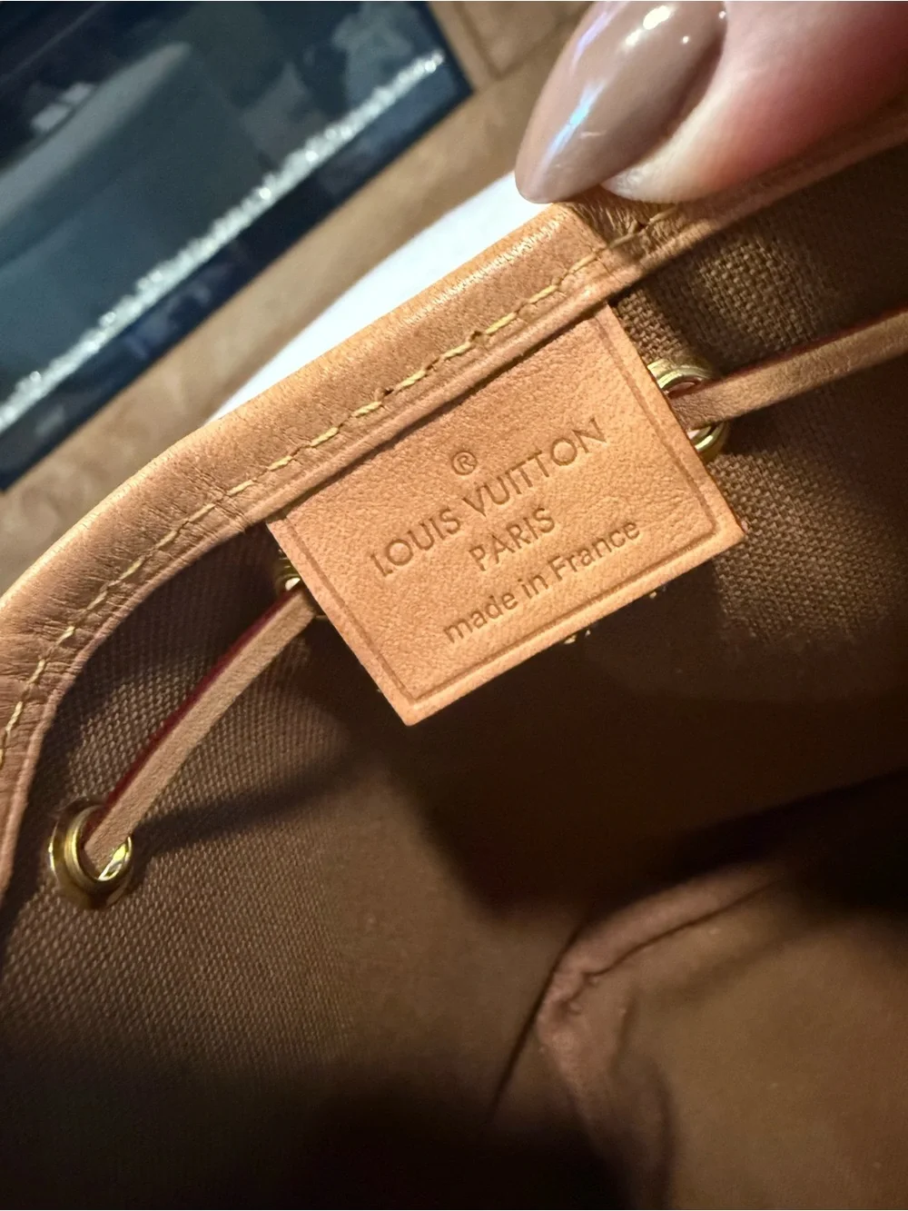 Authentic Louis Vuitton Monogram Nano Noe Crossbody in Brown and Tan